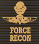 force recon symbol